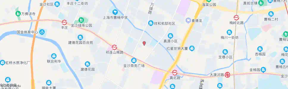 上海清峪路真光路_公交站地图_上海公交_妙搜公交查询2025